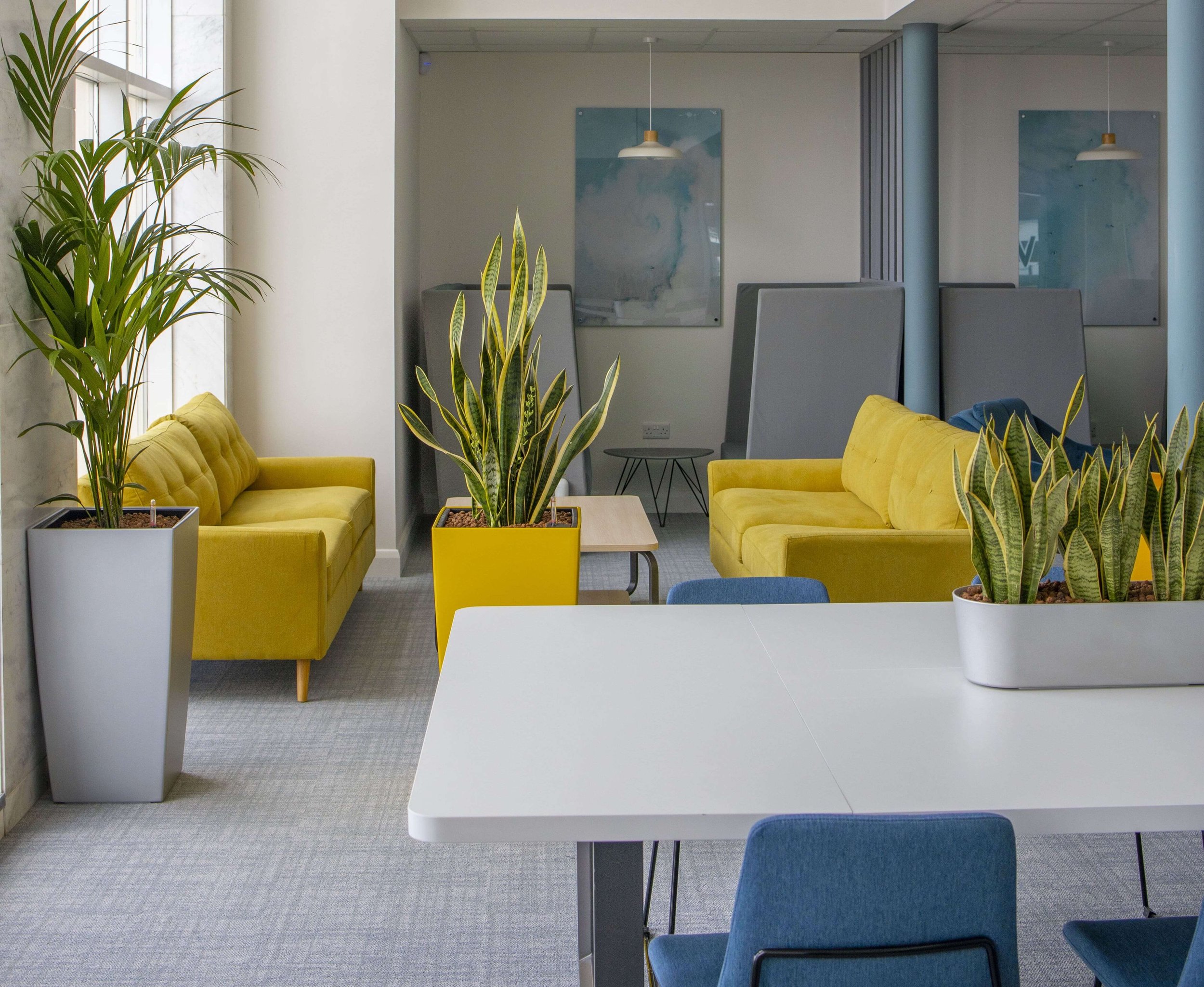 Malahide Office Exterior